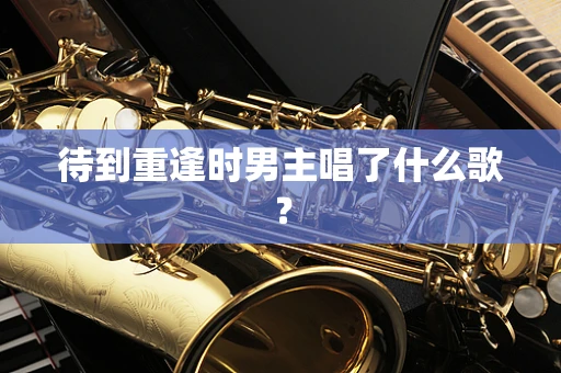 待到重逢时男主唱了什么歌？