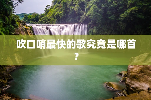 吹口哨最快的歌究竟是哪首？