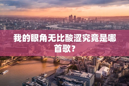 我的眼角无比酸涩究竟是哪首歌？