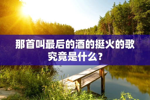 那首叫最后的酒的挺火的歌究竟是什么？