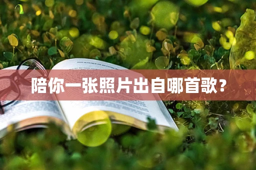 陪你一张照片出自哪首歌？