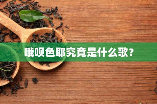 哦呗色耶究竟是什么歌？