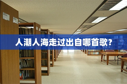 人潮人海走过出自哪首歌？