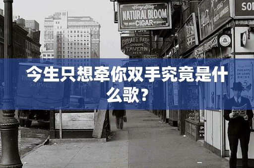 今生只想牵你双手究竟是什么歌？