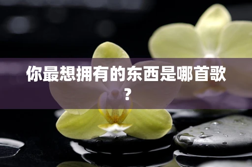 你最想拥有的东西是哪首歌？