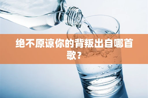 绝不原谅你的背叛出自哪首歌？