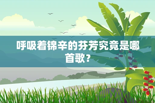 呼吸着锦辛的芬芳究竟是哪首歌？