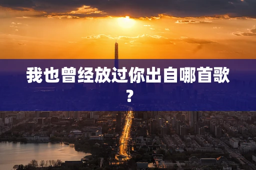 我也曾经放过你出自哪首歌？