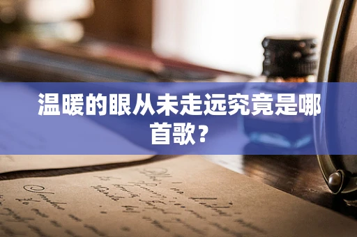 温暖的眼从未走远究竟是哪首歌？