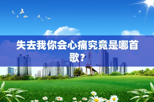 失去我你会心痛究竟是哪首歌？