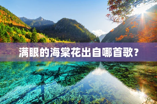 满眼的海棠花出自哪首歌？