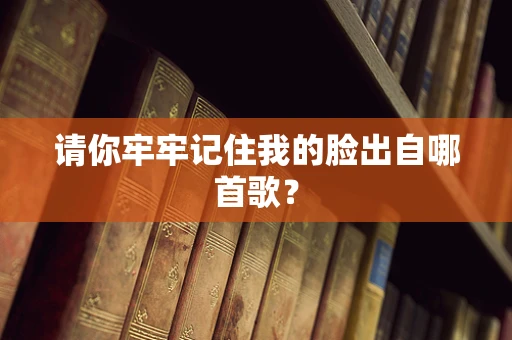 请你牢牢记住我的脸出自哪首歌？