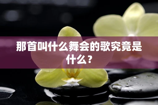 那首叫什么舞会的歌究竟是什么？