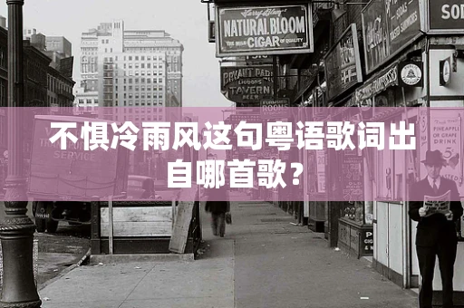 不惧冷雨风这句粤语歌词出自哪首歌？