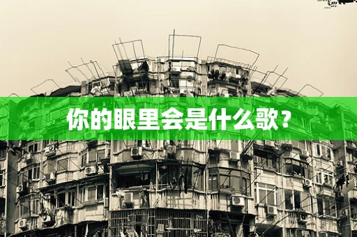 你的眼里会是什么歌？