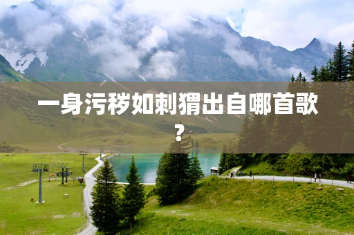 一身污秽如刺猬出自哪首歌？