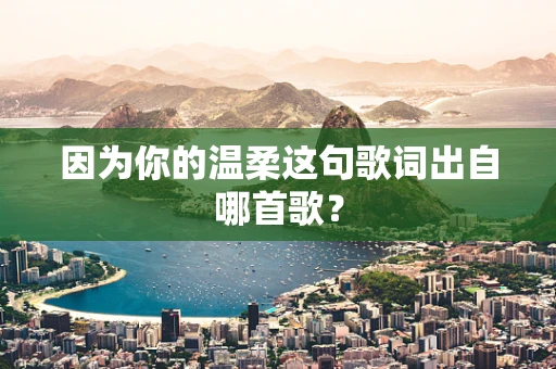 因为你的温柔这句歌词出自哪首歌？
