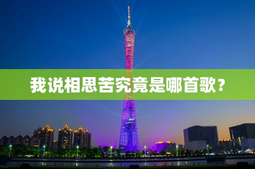 我说相思苦究竟是哪首歌？