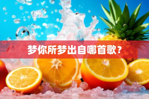 梦你所梦出自哪首歌？