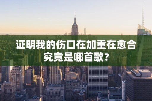 证明我的伤口在加重在愈合究竟是哪首歌？