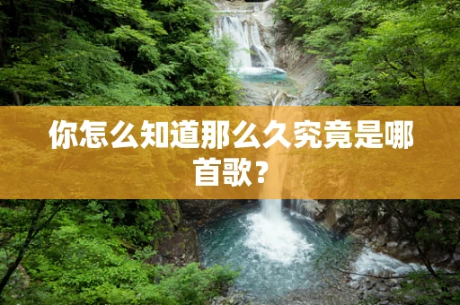 你怎么知道那么久究竟是哪首歌？