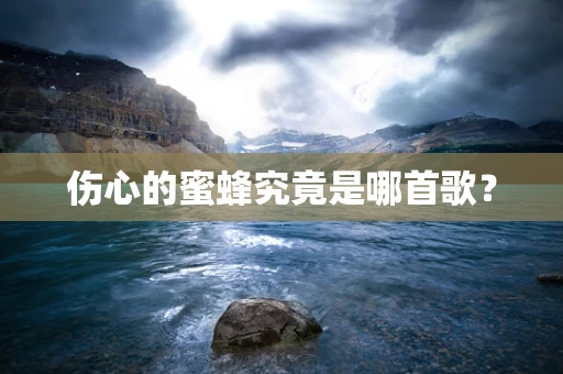 伤心的蜜蜂究竟是哪首歌？