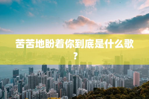 苦苦地盼着你到底是什么歌？