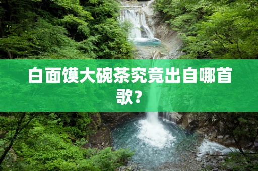 白面馍大碗茶究竟出自哪首歌？