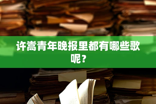 许嵩青年晚报里都有哪些歌呢？