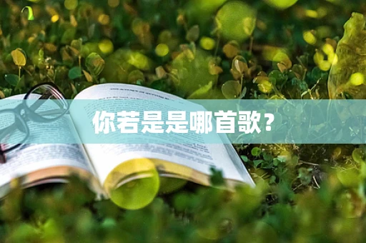 你若是是哪首歌？