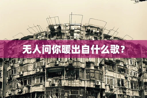 无人问你暖出自什么歌？