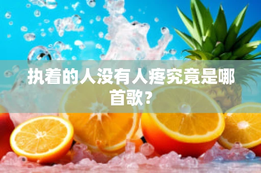 执着的人没有人疼究竟是哪首歌？