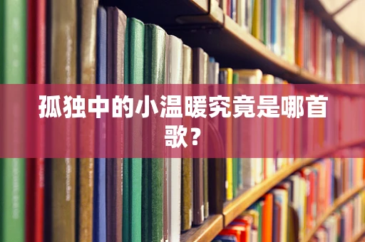 孤独中的小温暖究竟是哪首歌？