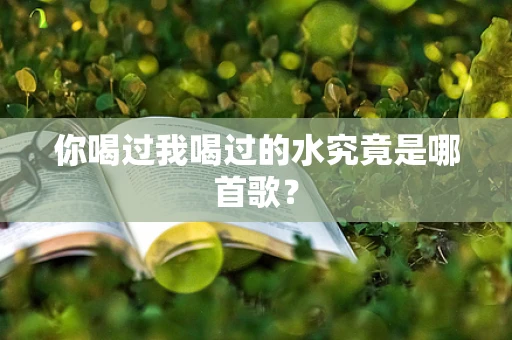 你喝过我喝过的水究竟是哪首歌？