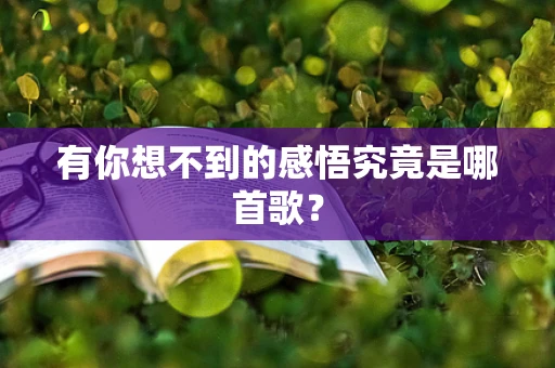 有你想不到的感悟究竟是哪首歌？