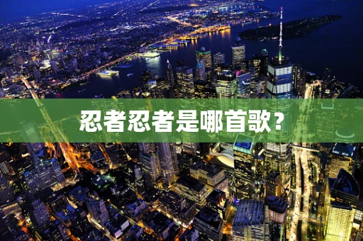 忍者忍者是哪首歌？