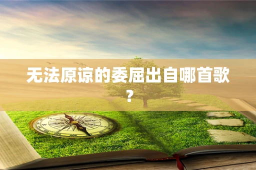 无法原谅的委屈出自哪首歌？