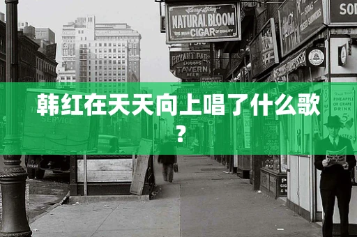 韩红在天天向上唱了什么歌？
