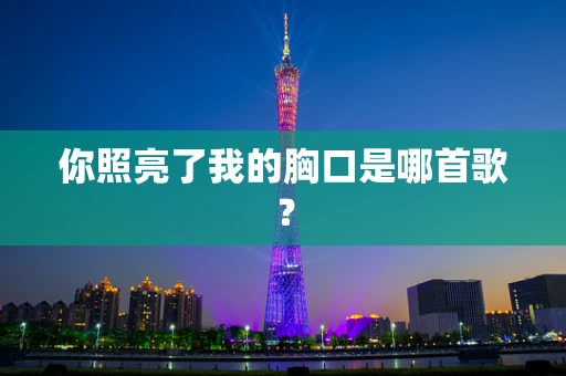 你照亮了我的胸口是哪首歌？