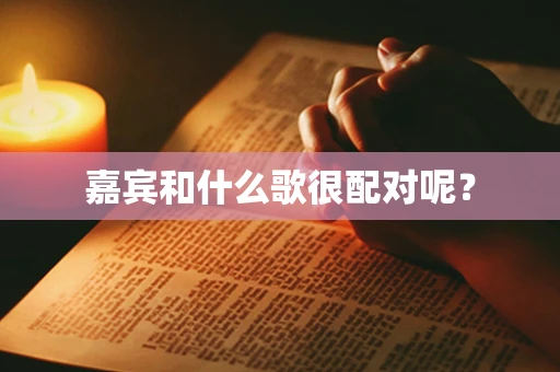 嘉宾和什么歌很配对呢？