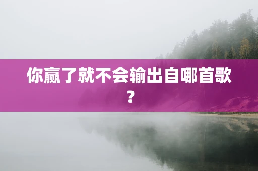 你赢了就不会输出自哪首歌？