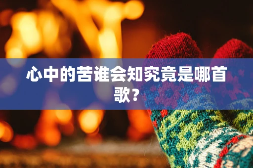 心中的苦谁会知究竟是哪首歌？