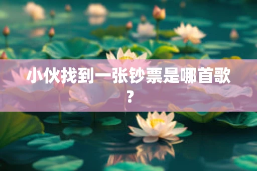 小伙找到一张钞票是哪首歌？