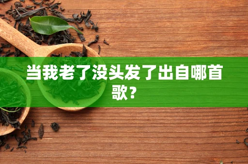 当我老了没头发了出自哪首歌？