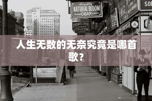 人生无数的无奈究竟是哪首歌？