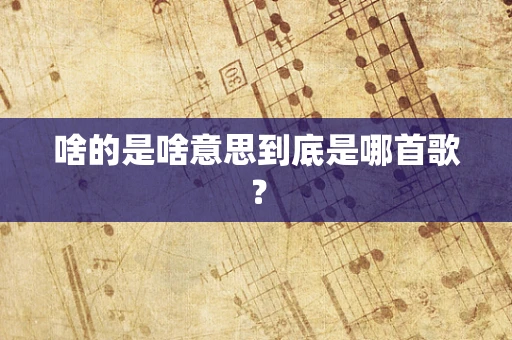 啥的是啥意思到底是哪首歌？