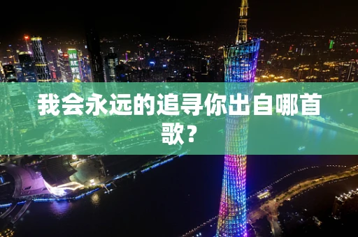 我会永远的追寻你出自哪首歌？