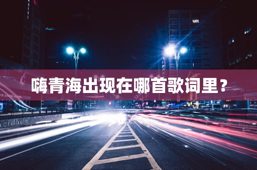 嗨青海出现在哪首歌词里？