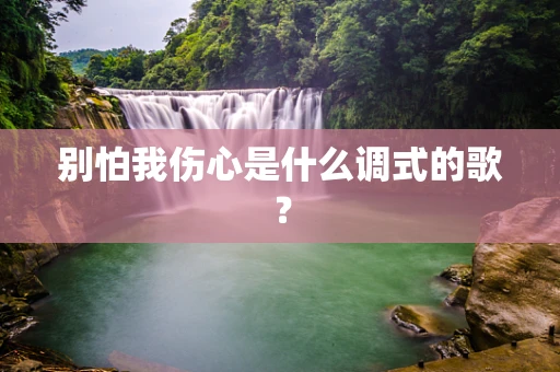 别怕我伤心是什么调式的歌？