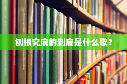 刨根究底的到底是什么歌？